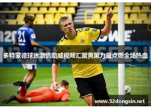 多特蒙德球迷激情助威视频汇聚黄黑力量点燃全场热血 多特蒙德球迷激情助威视频汇聚黄黑力量点燃全场热血