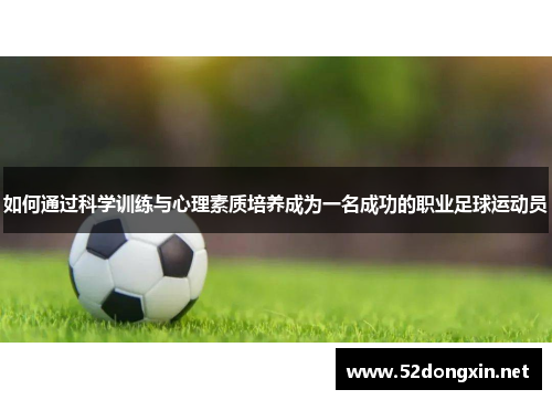 如何通过科学训练与心理素质培养成为一名成功的职业足球运动员